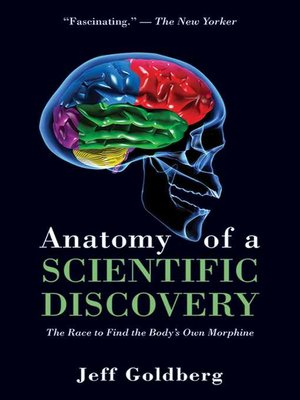cover image of Anatomy of a Scientific Discovery